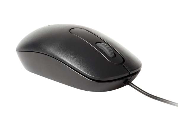 RAPOO N200 Wired Optical Mouse with 1600DPI